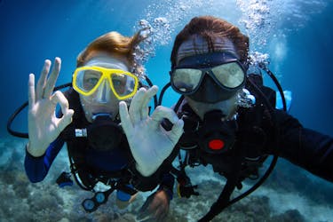 Full-day diving experience at the Great Barrier Reef
